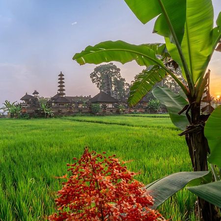 Your Dream Getaway Awaits - Villa In Ubud Offering Unmatched Temple Views! 外观 照片